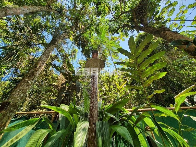 Refúgio entre a Mata Atlântica e a Praia de Itamambuca
