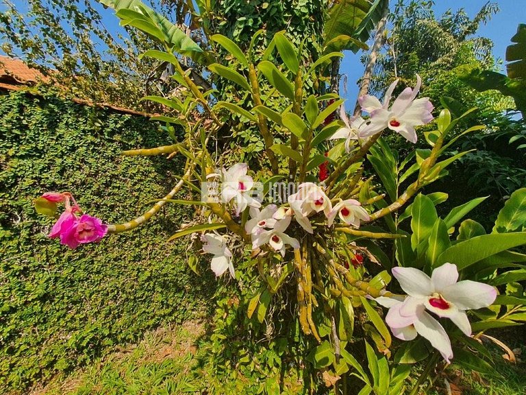 Casa a menos de 40m da praia de Itamambuca