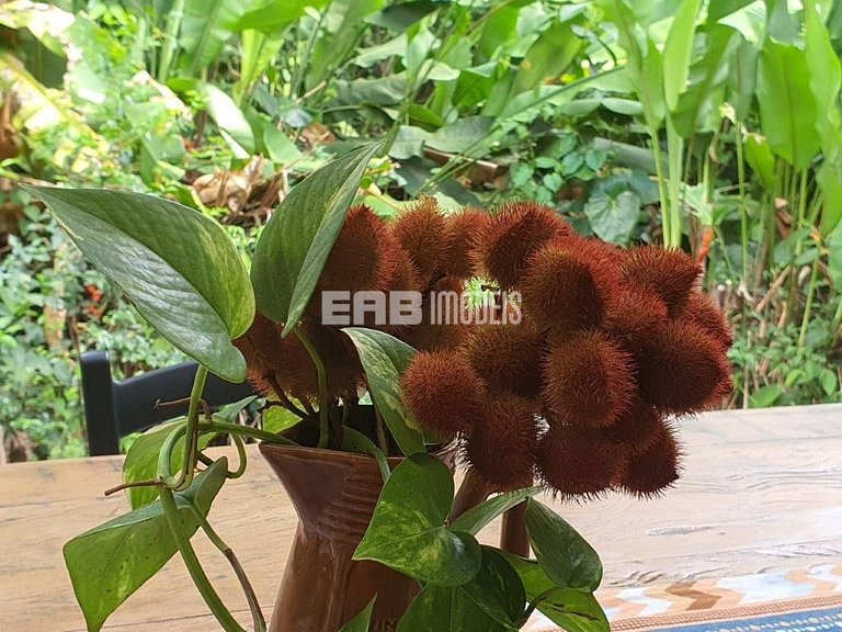 Casa 4 suítes, ar-condicionado e ducha aquecida