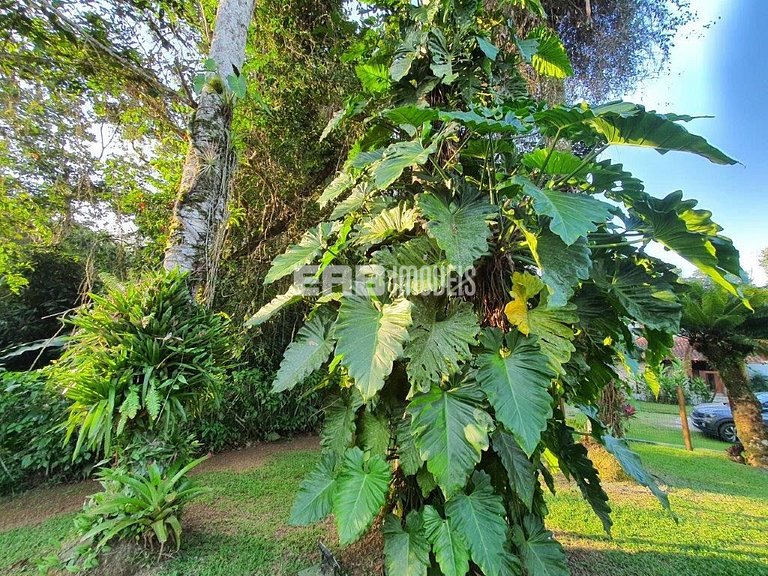 Casa integrada à natureza, para aproveitar o melhor de Itama