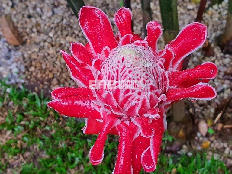 Charmosa casa palafitada para temporada em Itamambuca