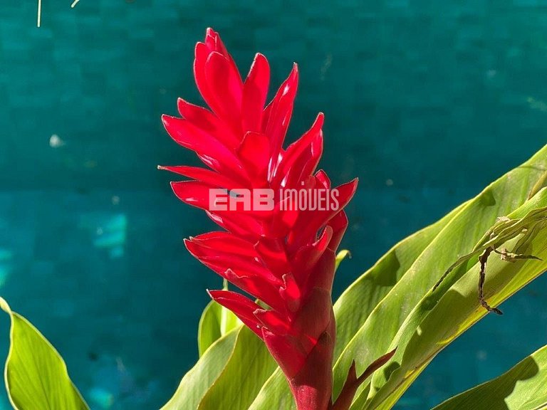 Belíssima casa com piscina e espaço gourmet na praia de Itam
