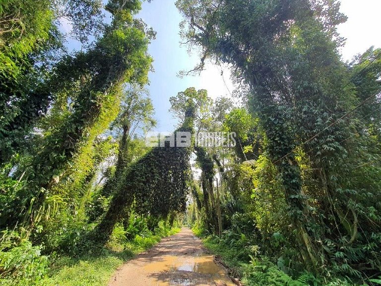 Casa para locação de temporada em Itamambuca, Ubatuba