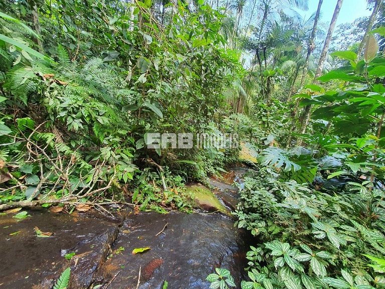 Casa para temporada na praia do Félix, para os amantes da na