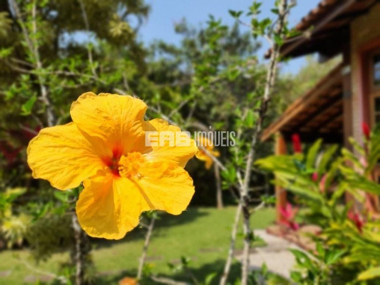 Casa com 3 dormitórios, a 40 metros da praia