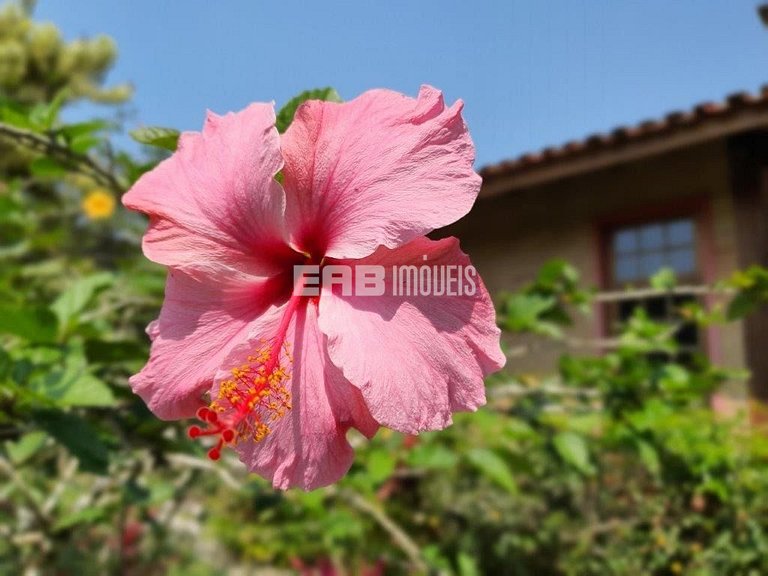 Casa com 3 dormitórios, a 40 metros da praia