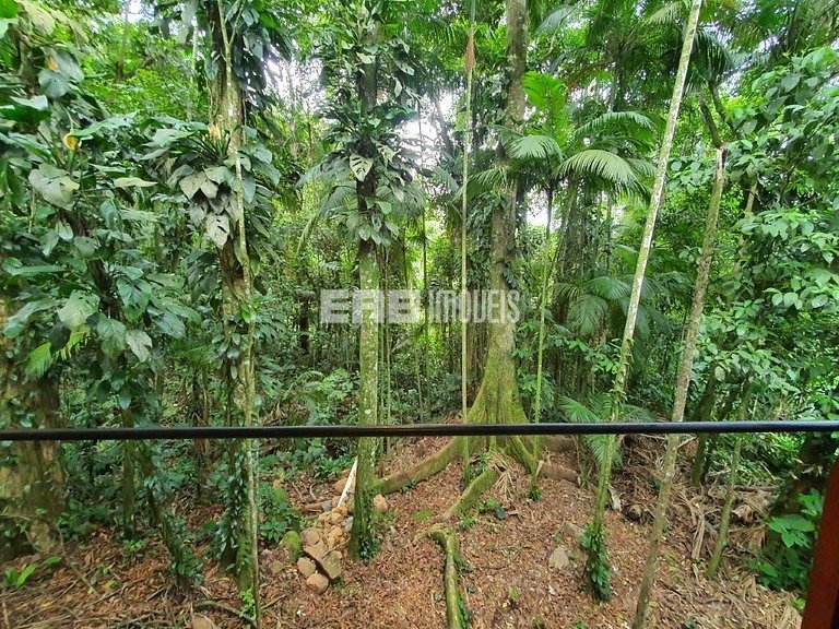 Casa dentro da Mata Atlântica, com todo o conforto da vida m