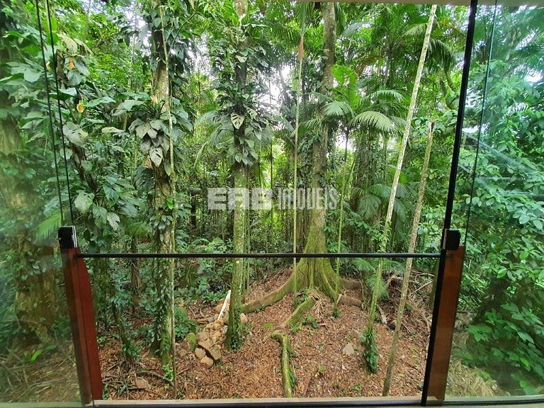 Casa dentro da Mata Atlântica, com todo o conforto da vida m