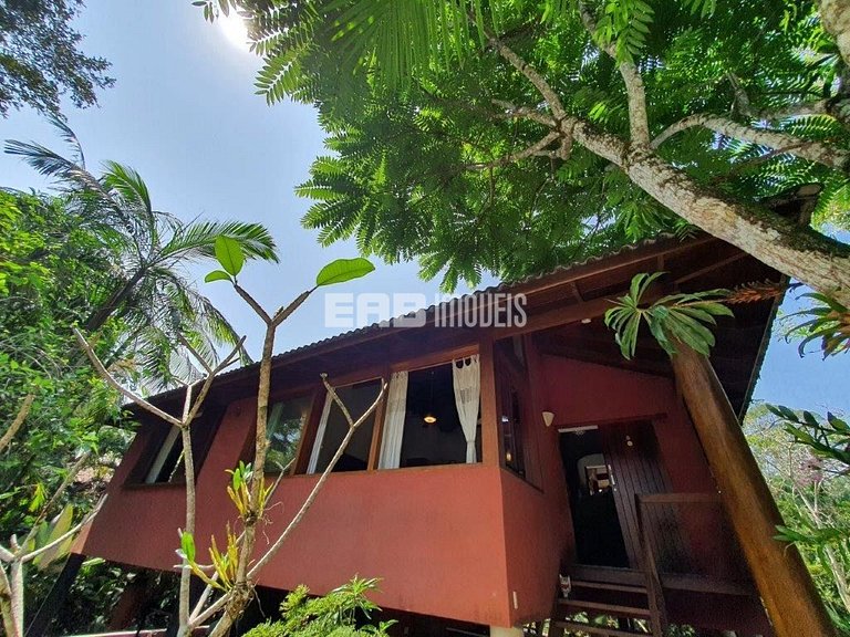 Casa de palafita, cercada por árvores