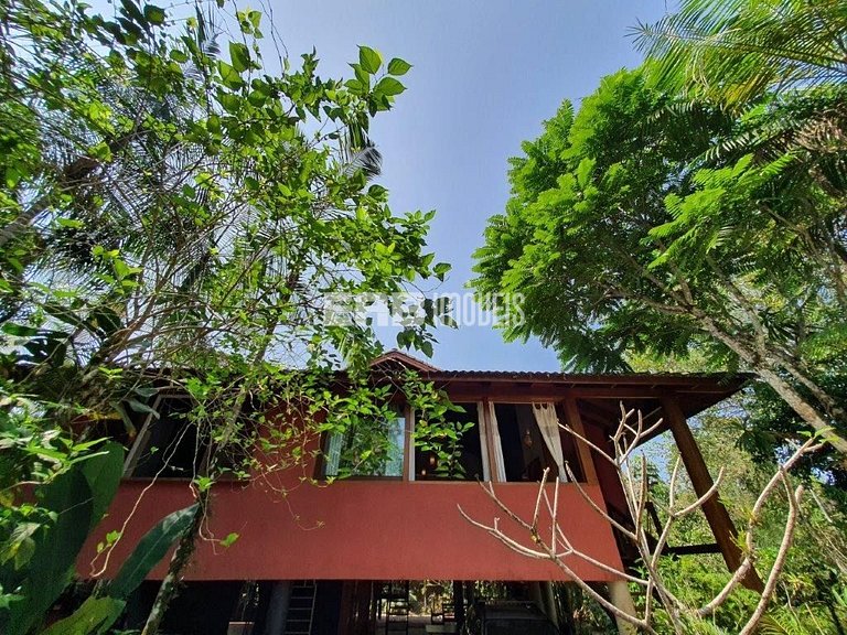 Casa de palafita, cercada por árvores