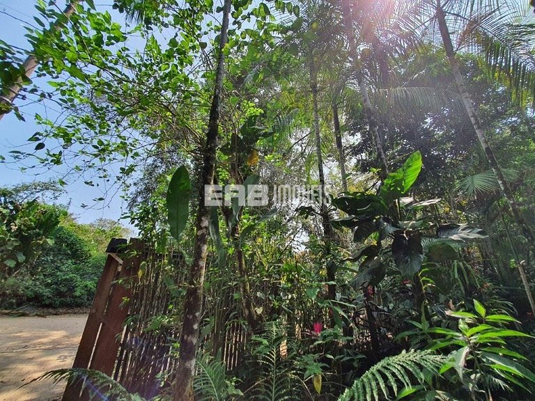 Casa de palafita, cercada por árvores