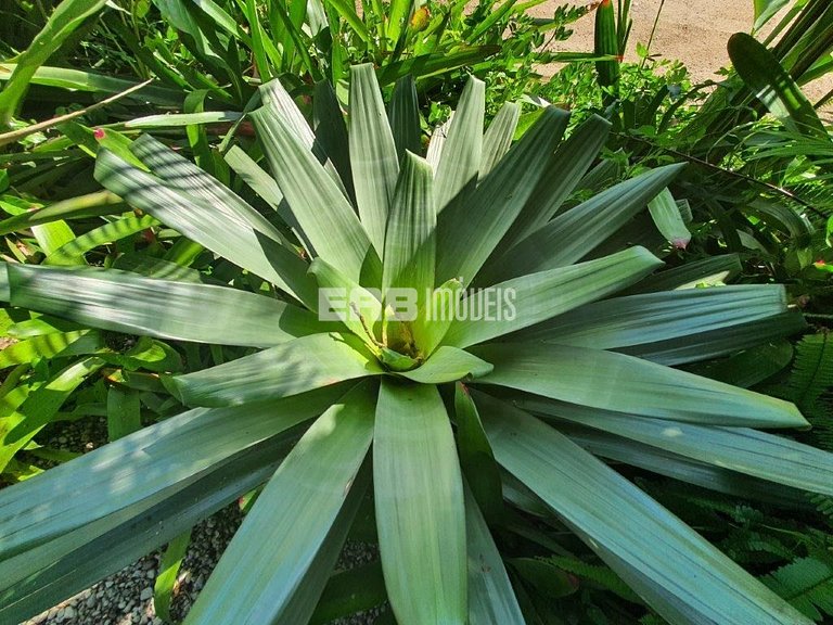 Casa com 6 dormitórios para 14 pessoas em Itamambuca