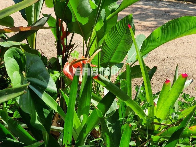 Casa com 6 dormitórios para 14 pessoas em Itamambuca