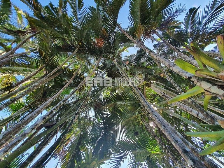 Casa com 6 dormitórios para 14 pessoas em Itamambuca