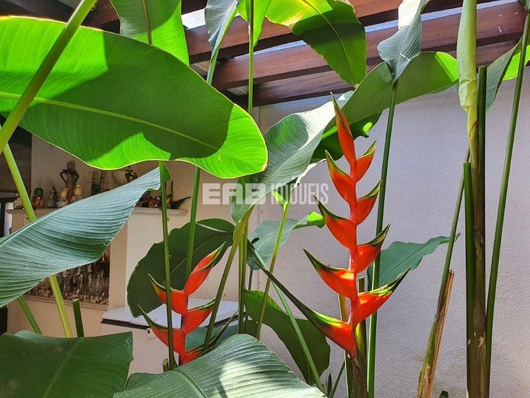 Casa com 6 dormitórios para 14 pessoas em Itamambuca