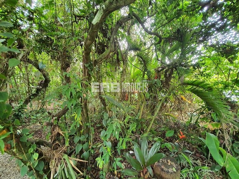 Casa charmosa e acolhedora, a somente 30m da praia de Itamam