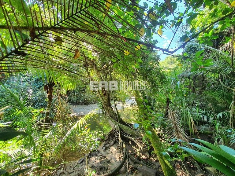 Casa com acesso exclusivo para a Praia do Félix