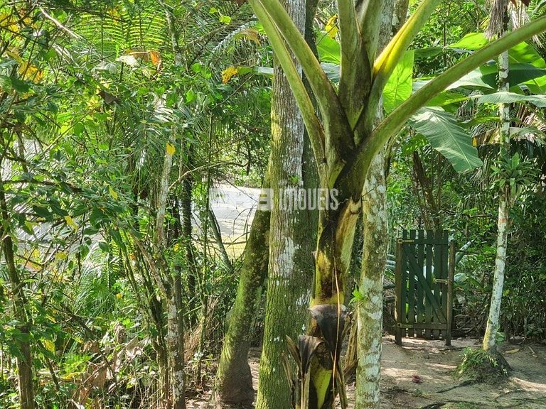 Casa com acesso exclusivo para a Praia do Félix