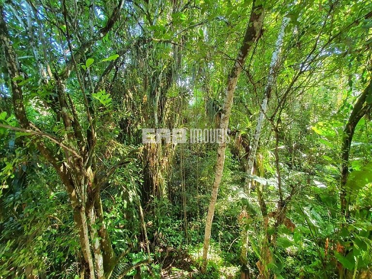 Casa com 4 suítes, piscina, jacuzzi, churrasqueira e sala de