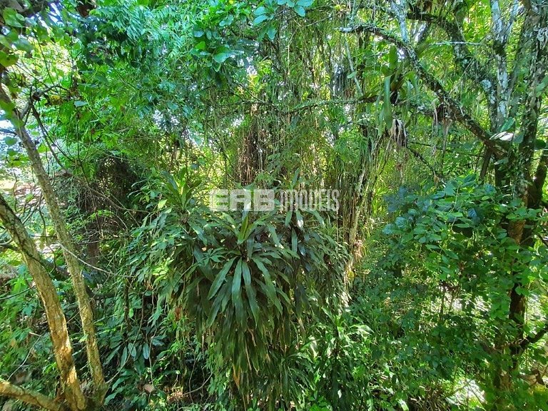 Casa com 4 suítes, piscina, jacuzzi, churrasqueira e sala de