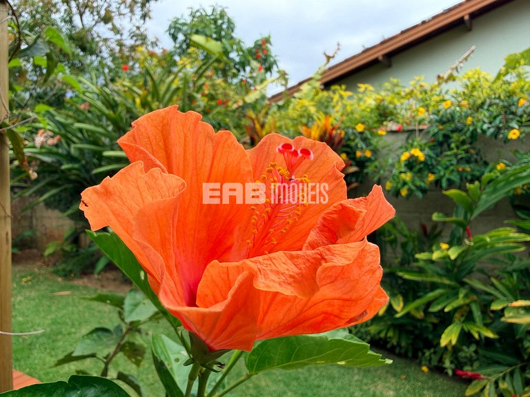 Casa com 4 dormitórios, a 180m da praia