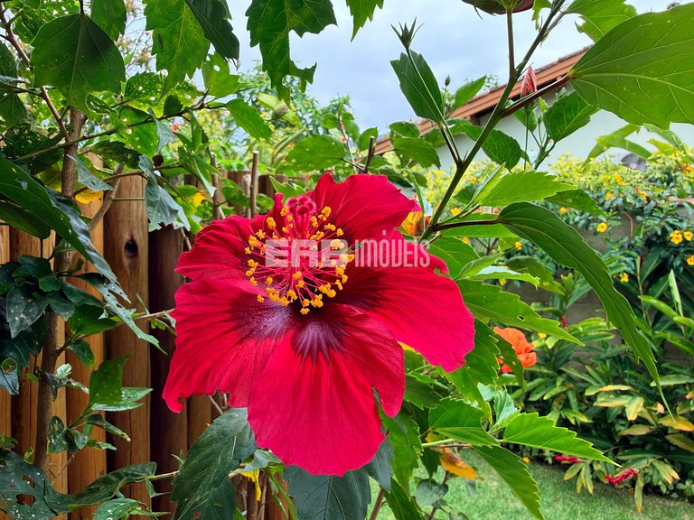 Casa com 4 dormitórios, a 180m da praia