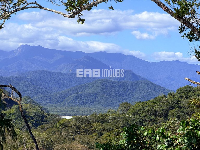 Estar entre o mar e a mata