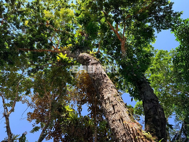 Charme na natureza com área gourmet e piscina