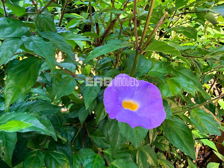 Charme na natureza com área gourmet e piscina