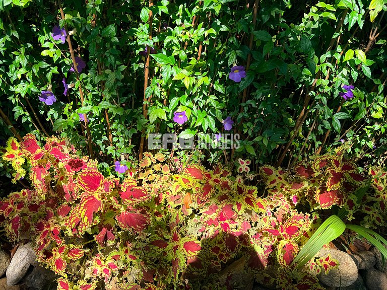 Charme na natureza com área gourmet e piscina